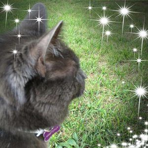 Meet your Posher, Sue